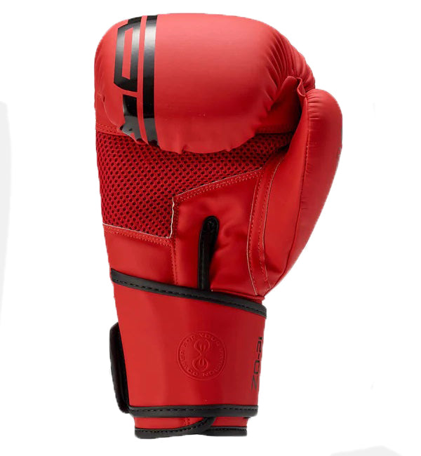 Sting Armaplus boxing gloves 16oz R